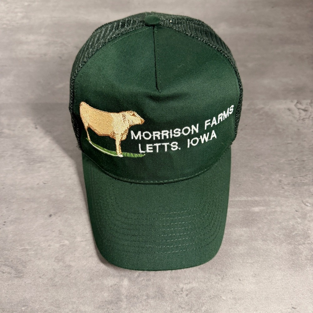 Vintage Otto Trucker Snapback Hat Green Morrison Farms Letts Iowa Cow Mesh Cap